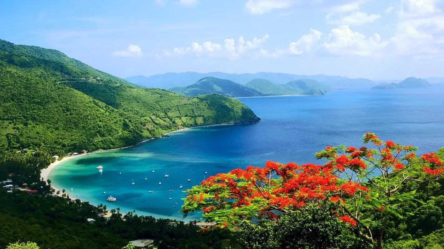 高精度电子自动化